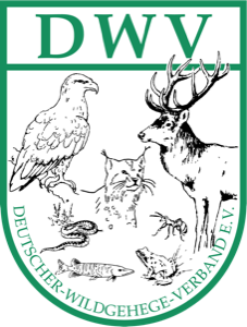DWV Logo